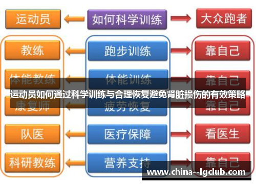 运动员如何通过科学训练与合理恢复避免肾脏损伤的有效策略