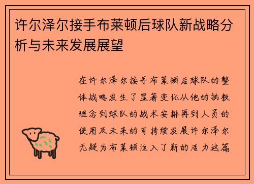 许尔泽尔接手布莱顿后球队新战略分析与未来发展展望
