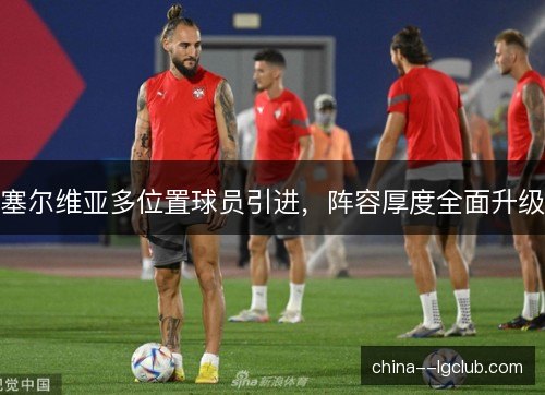塞尔维亚多位置球员引进，阵容厚度全面升级
